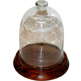 Glass bell with wooden base